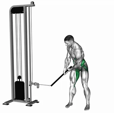 Cable Bent Over Golf Swing Pull Torso Rotation demo