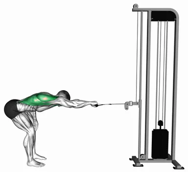 Cable Bent Over Single Arm Horizontal Row demo
