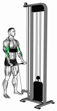 Cable Biceps Curl (with arm blaster) demo