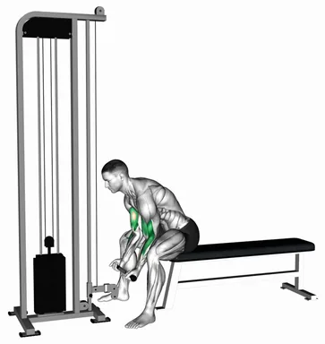 Cable Concentration Curl demo