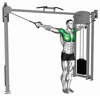 Cable Crossover Variation demo