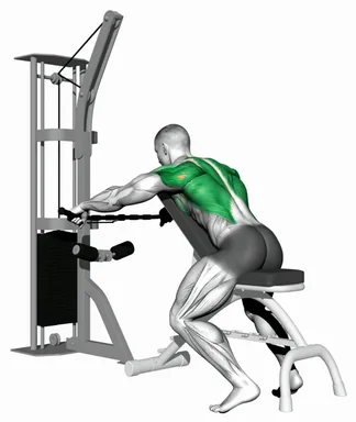 Cable Decline Seated Wide grip Row demo
