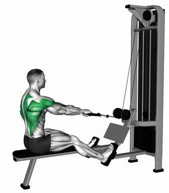 Cable Dual Handle Elbows Out Row demo