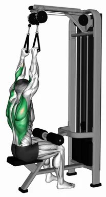 Cable Dual Handle Lat Pulldown demo