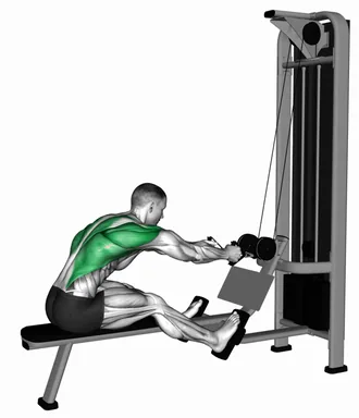 Cable Dual Handle Seated Neutral Grip Row demo