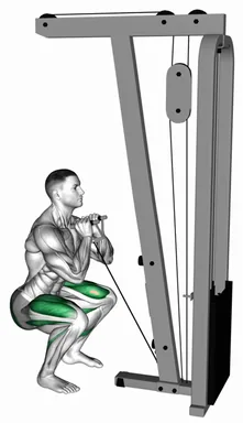 Cable Front Squat with V Bar demo