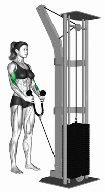 Cable Rope Hammer Curl (Demo 2) demo