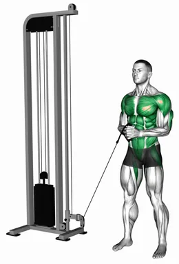 Cable horizontal Pallof Press (VERSION 2) demo