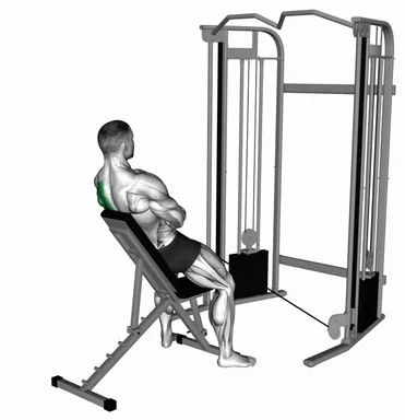 Cable Incline Single Arm Y Raise Wrist Straps with Back Support demo