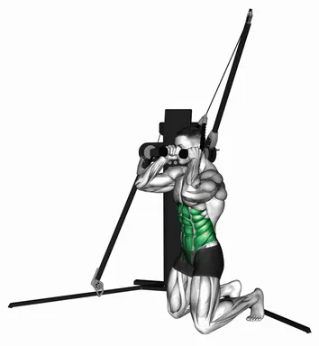 Cable Kneeling Crunch (VERSION 3) demo