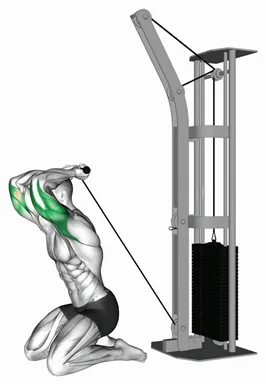 Cable Kneeling Triceps Extension (VERSION 2) demo