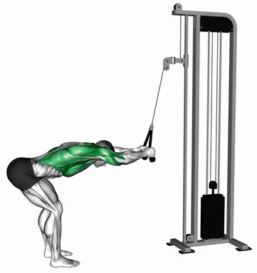 Cable Lat Prayers (rope attachment) demo