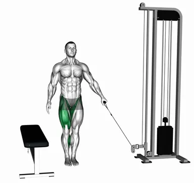 Cable Lateral Step-up demo