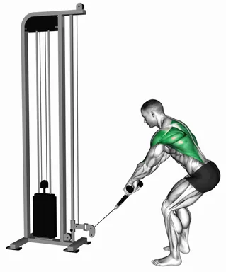 Cable Low Row with Rope Attachment demo