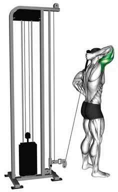 Cable Overhead Single Arm Triceps Extension (rope attachment) demo