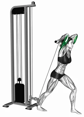 Cable Overhead Triceps Extension Straight Bar (Demo 2) demo