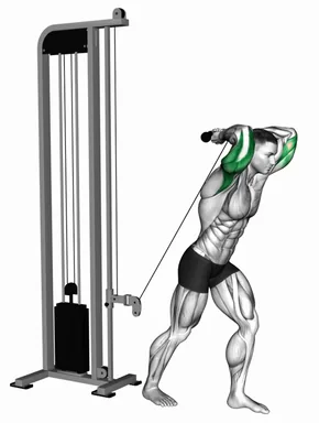 Cable Overhead Tricep Extension SZ Bar demo