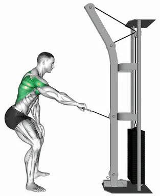 Cable Palm Rotational Row demo