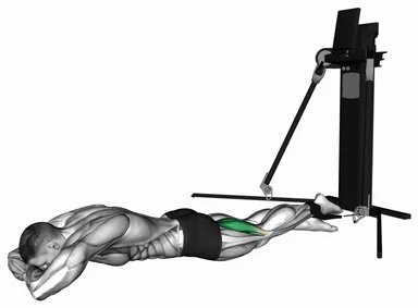 Cable Prone Single Leg Curl (VERSION 3) demo