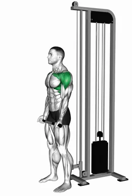 Cable Reverse Grip Front Raise demo