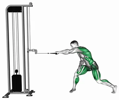 Cable Rotary Pull demo