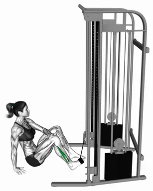 Cable Seated Foot Eversion demo