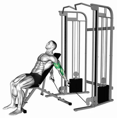 Cable Seated Incline Curl demo