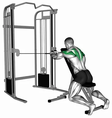 Cable Seated Rear Delt Fly with Chest Support demo
