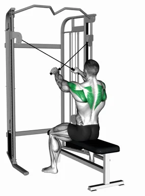 Cable Seated Reverse Fly demo