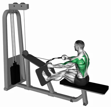 Cable Seated Row (Bent bar) demo