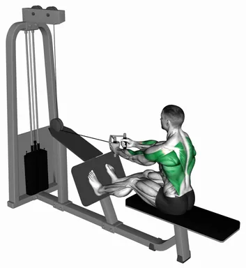 Cable Seated Row with V-Bar demo