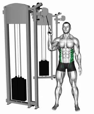 Cable Side Crunch demo