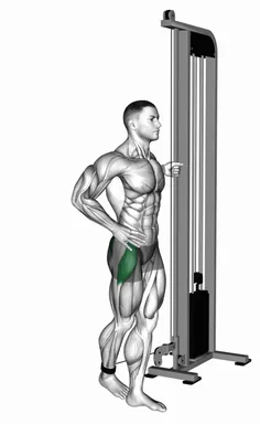 Cable Side Leg Kick from Back demo