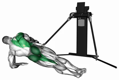 Cable Side Plank Row (VERSION 3) demo