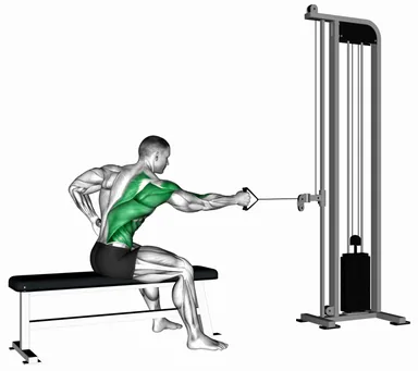 Cable Sitting Bench Single Arm Twisting Row demo