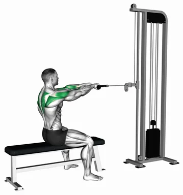 Cable Sitting Bench Face Pull (with rope) demo