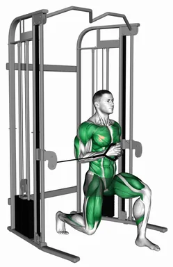 Cable Split Stance Horizontal Pallof Press demo