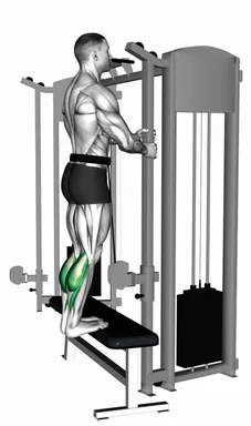 Cable Standing Calf Raise demo