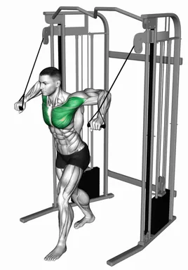 Cable Standing Crossover demo