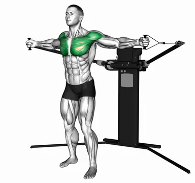 Cable Standing Fly (VERSION 3) demo