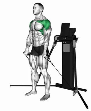 Cable Standing Front Raise (VERSION 3) demo
