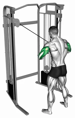 Cable Standing High Cross Neutral grip Triceps Extension demo