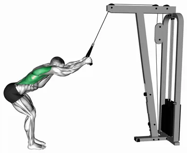 Cable Standing Lat Pushdown (Rope Attachment) demo