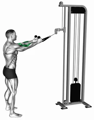 Cable Standing Pulldown (with Rope) demo