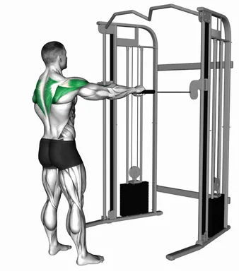Cable Standing Rear Delt Row demo