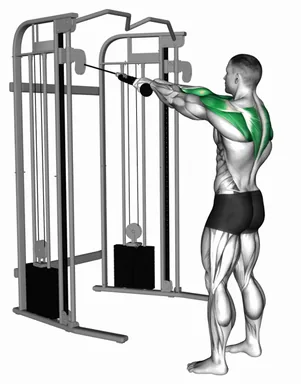 Cable Standing Rear Delt Row (with Rope) demo