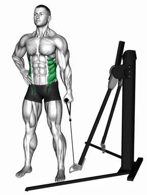 Cable Standing Side Bend (VERSION 3) demo