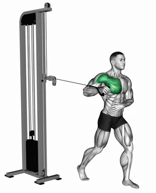 Cable Standing Single Arm Chest Press demo