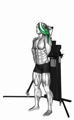 Cable Standing Single Arm Overhead Triceps Extension (VERSION 3) demo