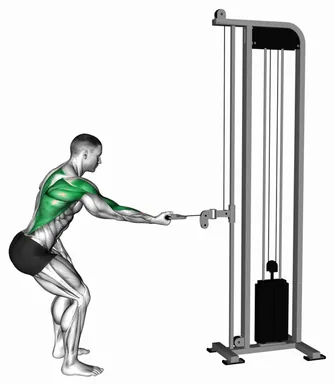 Cable Standing Single Arm Reverse grip Row demo